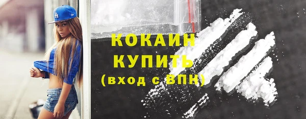 твердый Алексин