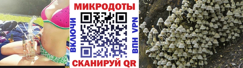 Галлюциногенные грибы Psilocybine cubensis  купить наркоту  Сим 